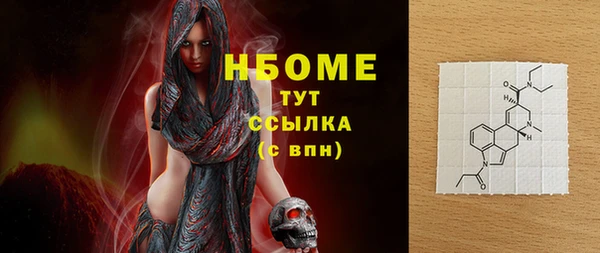 индика Арсеньев