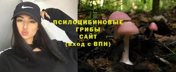 твердый Аркадак