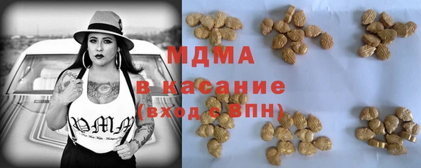 индика Арсеньев
