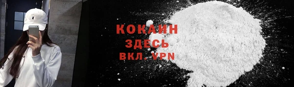 индика Арсеньев