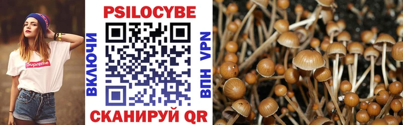 Псилоцибиновые грибы MAGIC MUSHROOMS  это официальный сайт  Сосновый Бор  ссылка на мегу  